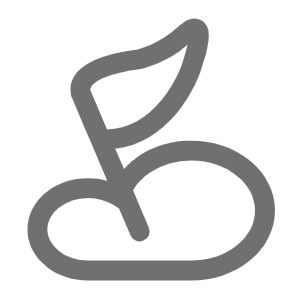 榮譽(yù)資質(zhì)