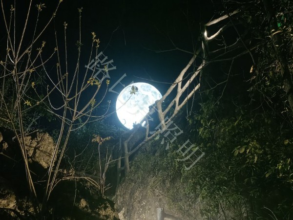 清遠(yuǎn)杰茗原生態(tài)茶業(yè) 月亮球景觀(guān)燈案例工程