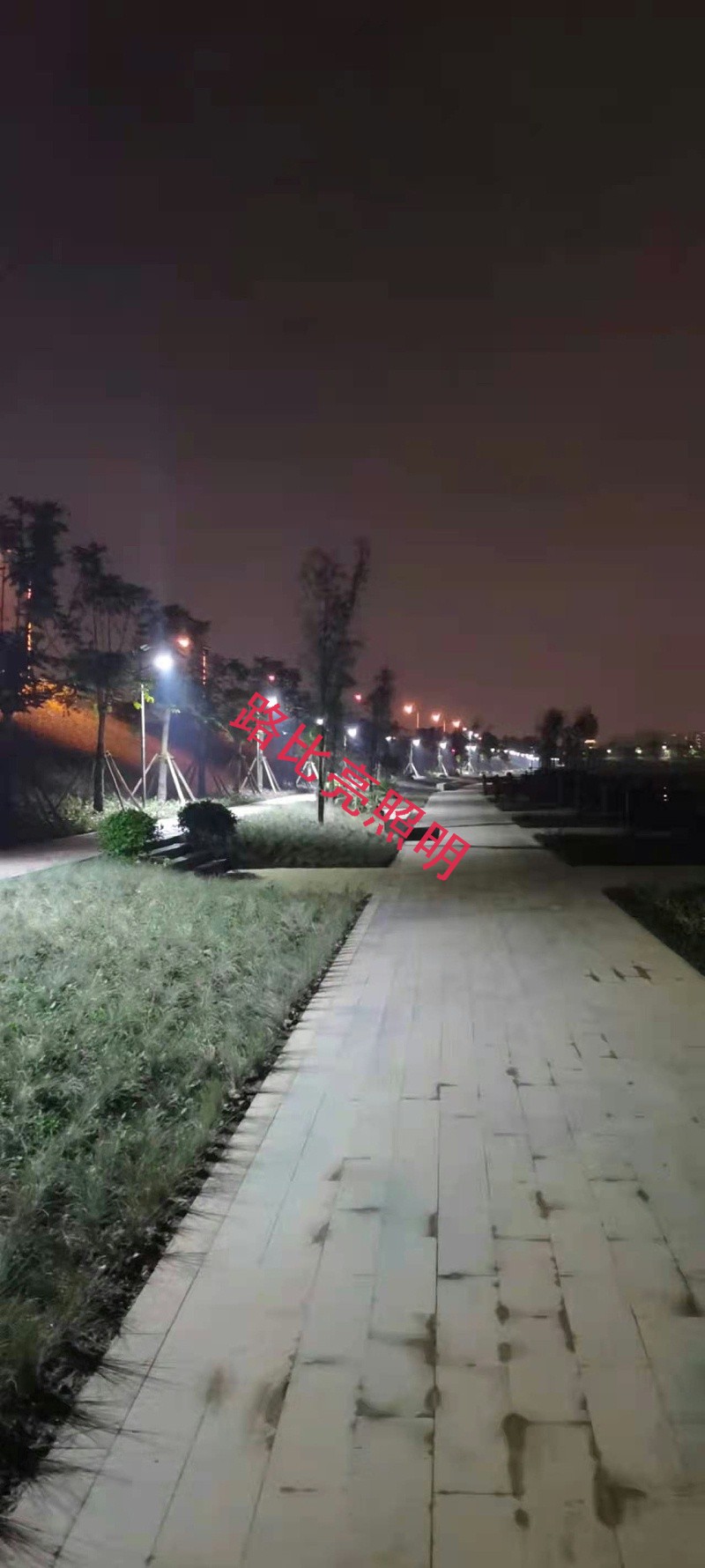 太陽(yáng)能路燈