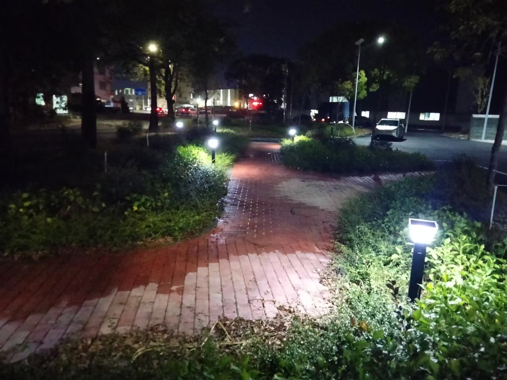 惠州小公園太陽能草坪燈案例