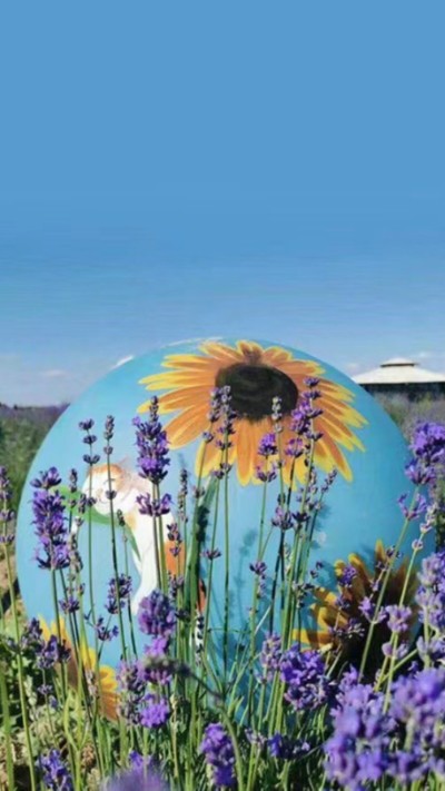 LED發(fā)光圖案球