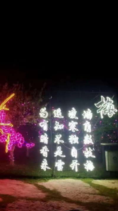 LED發(fā)光仿真樹