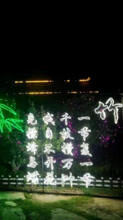 LED發(fā)光仿真樹