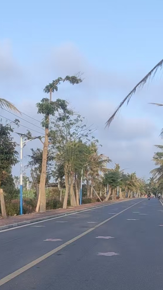 微信圖片_20260320165404_299_2