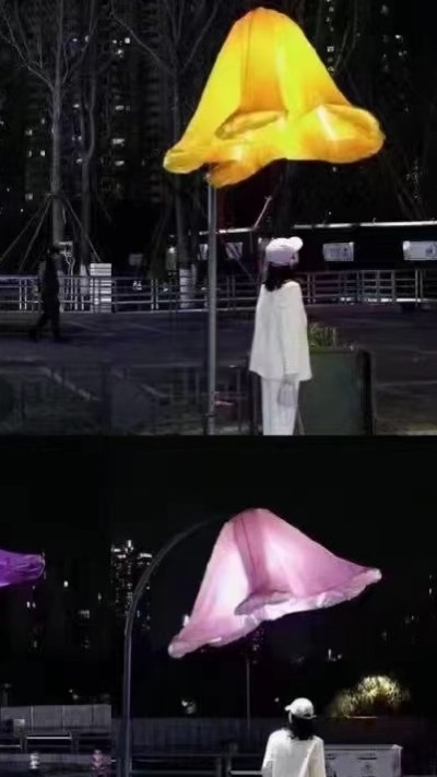 LED發(fā)光造型燈