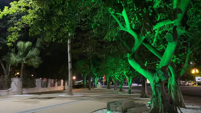 海濱花園庭院射樹燈工程案例