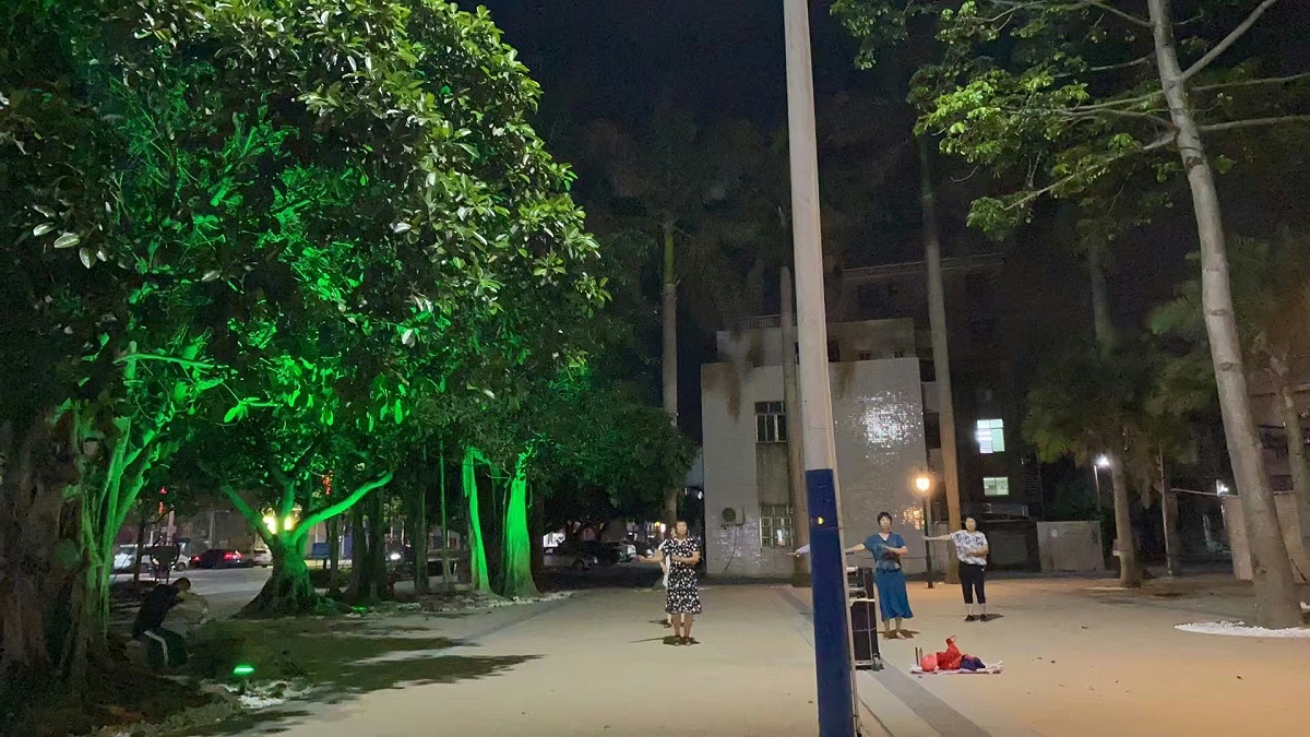 海濱花園庭院射樹燈工程案例