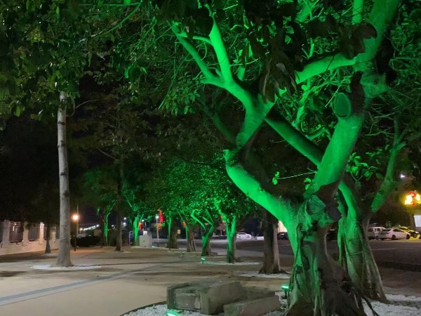 戶外海濱花園庭院射樹燈工程，位于廣東臺山廣海