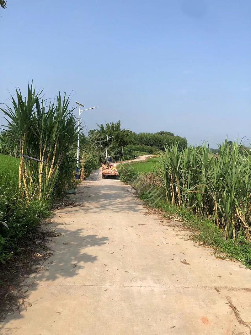 太陽(yáng)能路燈