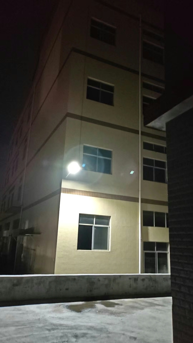 太陽(yáng)能掛壁燈