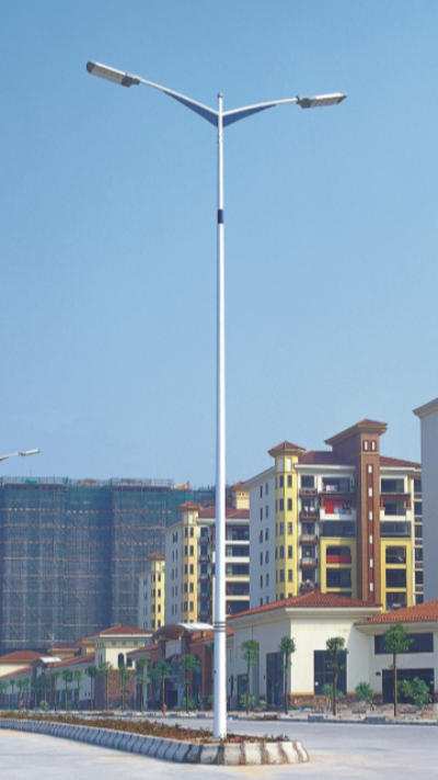 LED鄉(xiāng)鎮(zhèn)道路燈