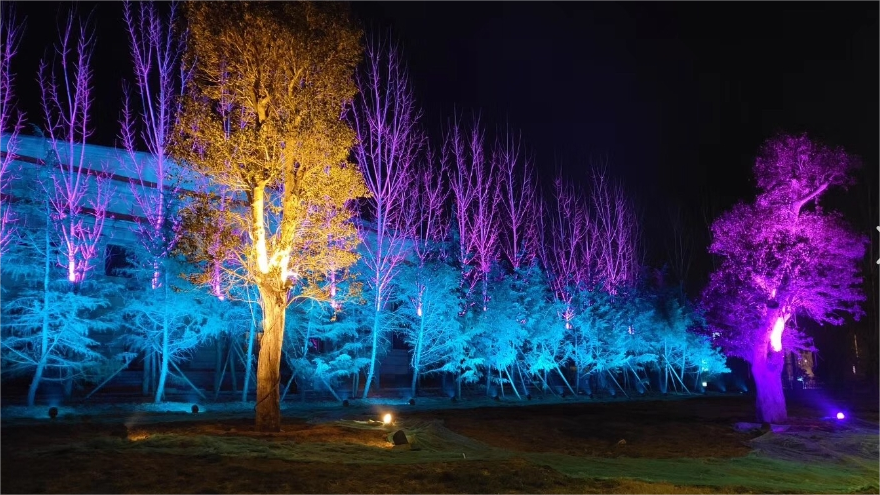 如何選擇射樹燈的燈色？