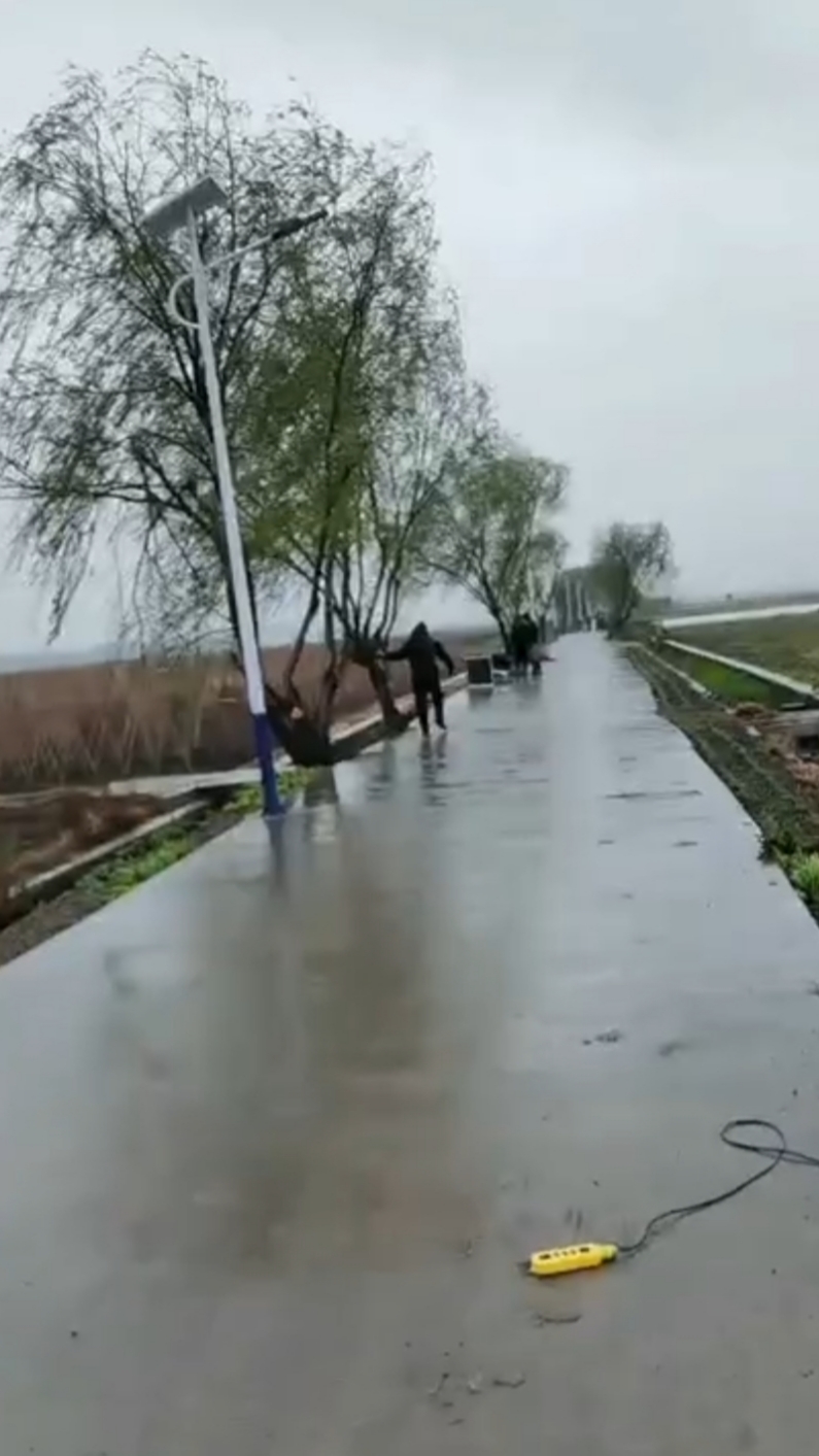 58e92e9d8e6562a5efef87b58d6b998