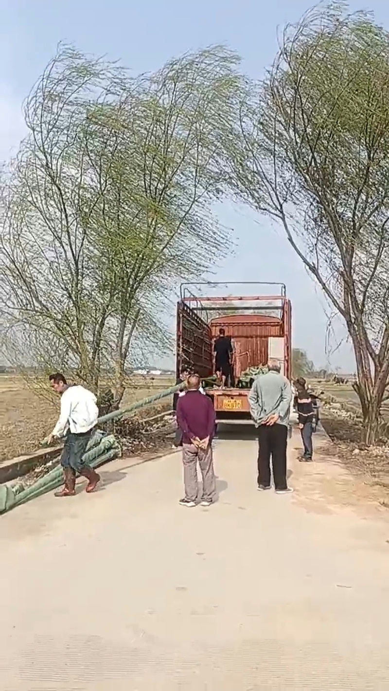 86dd63e45085e7efb032618eac2cafa